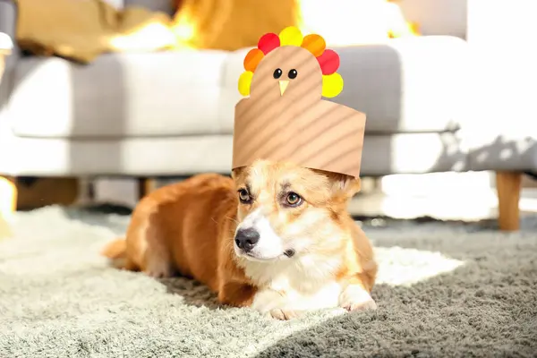 Corgi dog with paper turkey at home on Thanksgiving Day