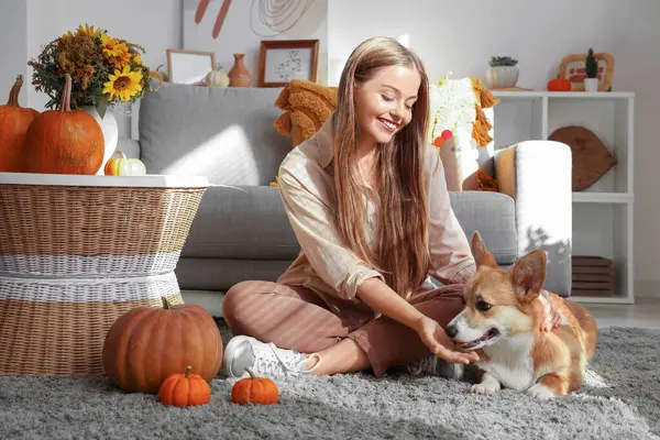 Young woman with Corgi dog at home on Thanksgiving Day