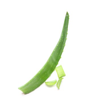 Aloe vera bitkisinin yaprakları ve dilimleri beyaz arkaplanda izole edilmiş.