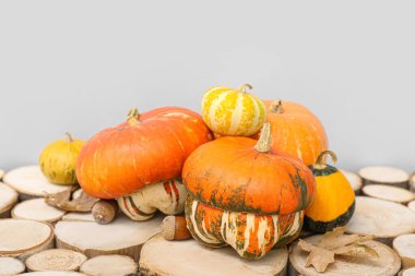 Balkabağı, meşe palamudu ve yapraklı sonbahar kompozisyonu