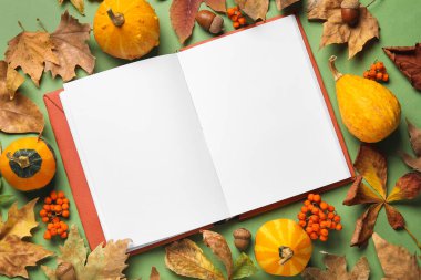 Renk arkaplanı üzerinde boş kitap, balkabağı ve doğal orman dekoru olan kompozisyon