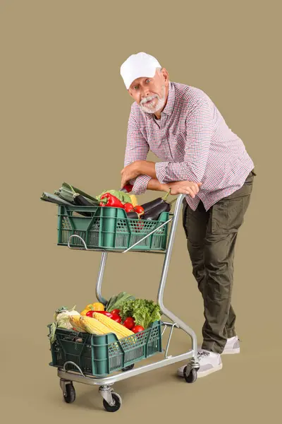 Agricultor Masculino Maduro Com Carrinho Compras Cheio Diferentes Vegetais Maduros — Fotografia de Stock