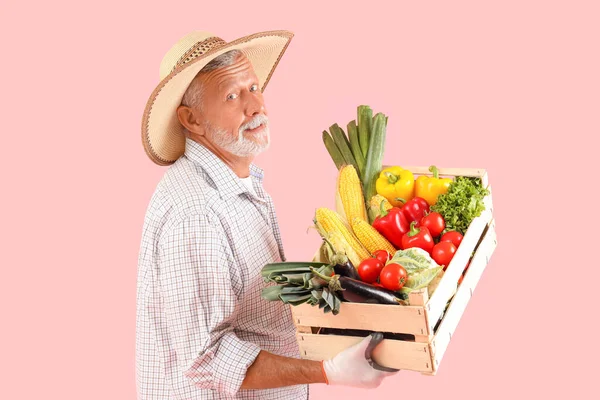 Boldog Érett Férfi Farmer Doboz Tele Különböző Érett Zöldségek Rózsaszín — Stock Fotó