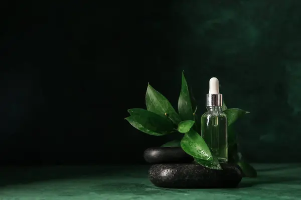 Bottle with essential oil, spa stones, branch and flower on green background