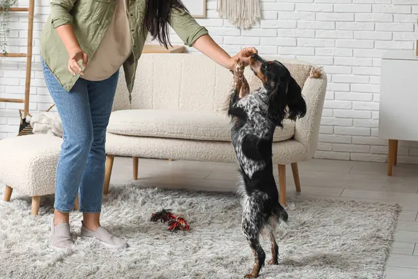 Female dog handler training pet at home