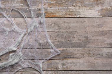 Tahta arka planda örümcek ağı. Cadılar Bayramı