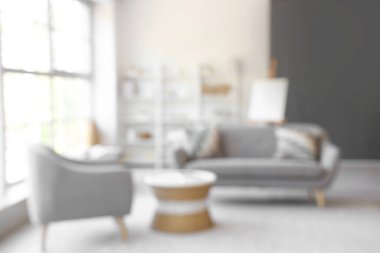 Koltuğu ve koltuğu olan oturma odasının bulanık görüntüsü