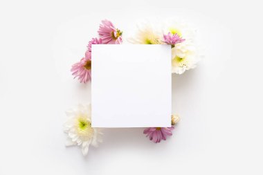 Beyaz arka planda güzel kasımpatı çiçekleri olan boş bir kart.