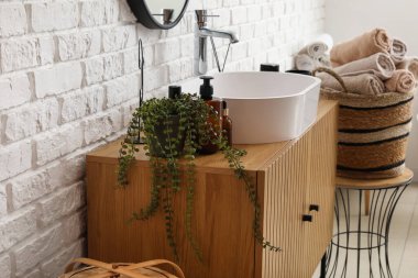 Ev bitkisi, banyo aksesuarları ve lavabo kâsesi banyodaki ahşap dolapta.
