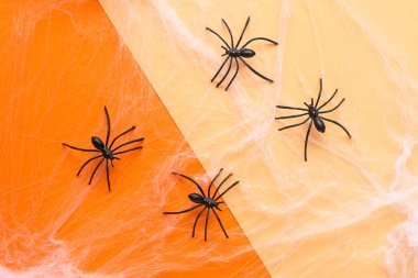 Turuncu arka planda Cadılar Bayramı partisi için örümceklerle örümcek ağı