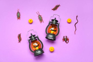 Cadılar Bayramı kompozisyonu: mor arka planda şeker böcekleri, fenerler ve balkabakları.