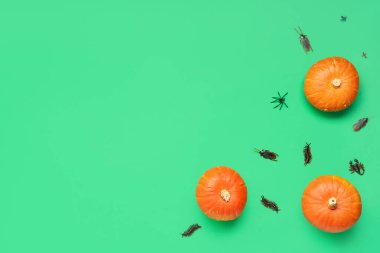 Yeşil arka planda balkabakları ve şeker böcekleriyle Cadılar Bayramı kompozisyonu