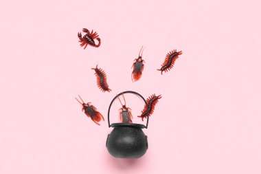 Pembe arka planda kazan ve şeker böcekleriyle Cadılar Bayramı kompozisyonu