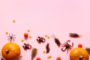 Pembe arka planda şeker böcekleri ve balkabaklarıyla Cadılar Bayramı kompozisyonu