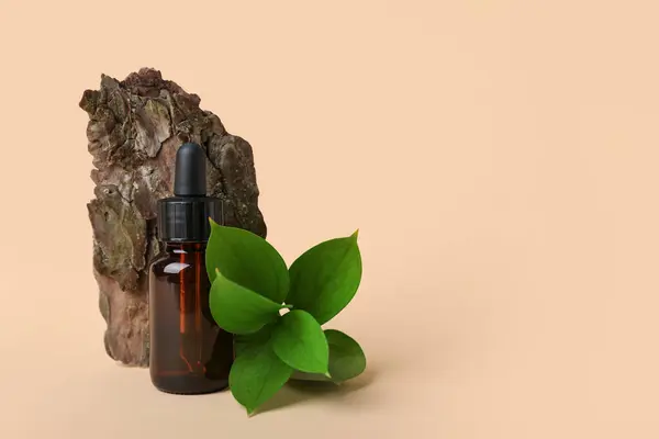 Flasche Kosmetiköl Mit Pflanzenzweig Und Baumrinde Auf Beigem Hintergrund — Stockfoto