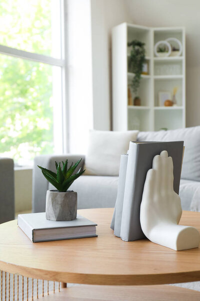 Stylish holder for books with houseplant on coffee table in living room