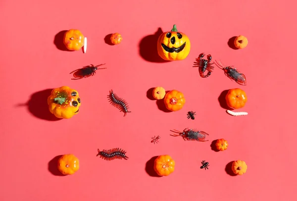 Halloween Složení Dýněmi Sladké Brouky Červeném Pozadí — Stock fotografie