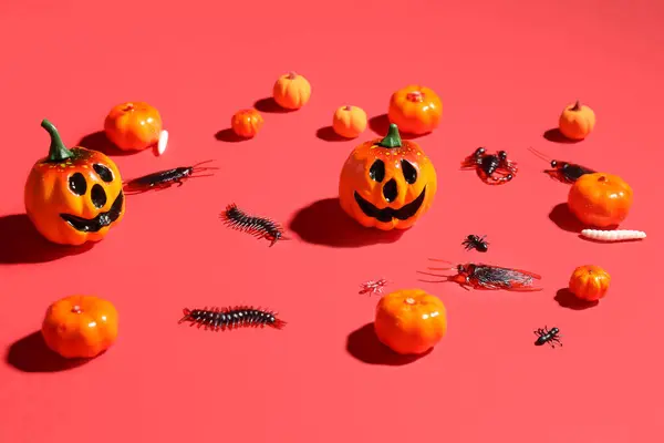Halloween Složení Dýněmi Sladké Brouky Červeném Pozadí — Stock fotografie