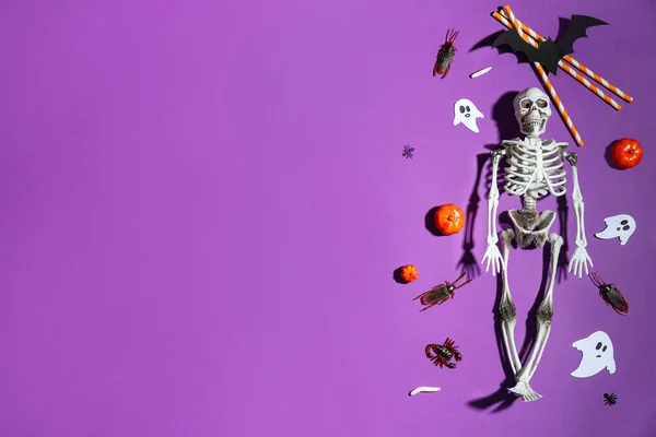 Halloween Összetétele Csontváz Sütőtök Cukorka Bogarak Lila Háttér — Stock Fotó