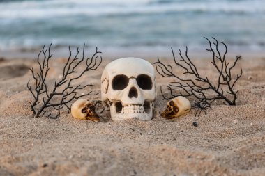 Cadılar Bayramı için kafatasları Sahilde dallarla