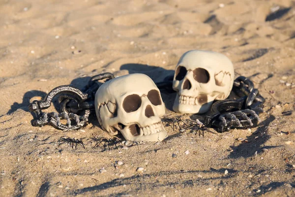 Skulls for Halloween with skeleton hands, spiders and chain on beach