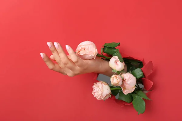 Female hand with roses visible through hole in red paper