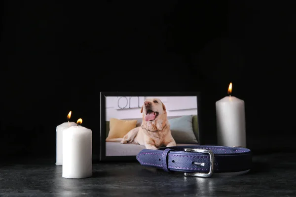 Frame with picture of dog, collar and burning candles on dark background. Pet funeral