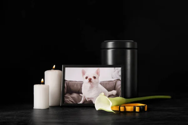 Frame with picture of dog, collar, mortuary urn and burning candles on dark background. Pet funeral