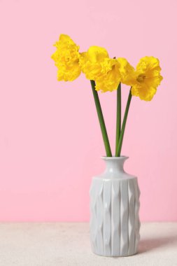 Vazo ve narsisli çiçekler pembe duvarın yanında.