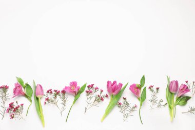 Beyaz arka planda güzel pembe çiçekler