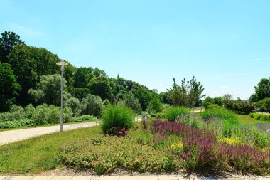 Yaz günü yeşil çalılar ve ağaçlarla kaplı park manzarası