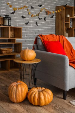 Cadılar Bayramı için kanepe ve balkabaklarıyla dekore edilmiş oturma odasının içi.