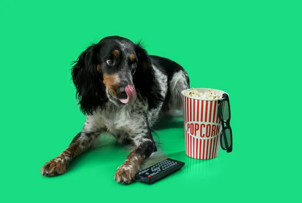 Cute Cocker Spaniel Dog Bucket Popcorn Cinema Glasses Remote Lying — Stock Photo, Image