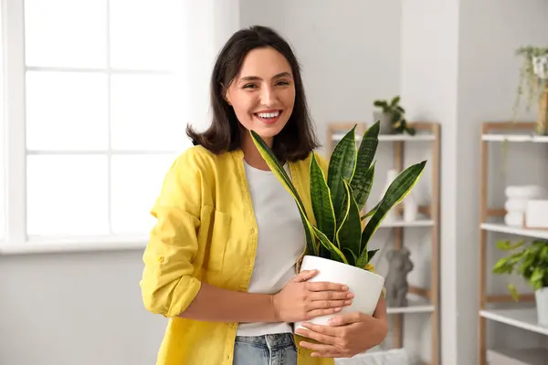 Young Woman Plant Home — Stock Photo, Image
