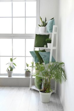 Yeşil yastıklı raf ünitesi ve aydınlatma odasında bitkiler.