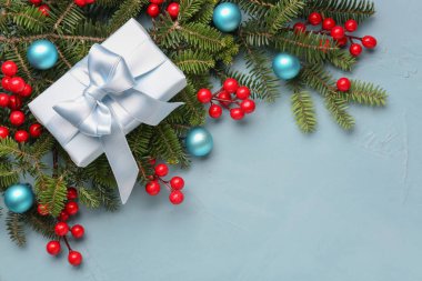 Toplu Noel ağacı dalları, rowan ve mavi arka planda hediye kutusu