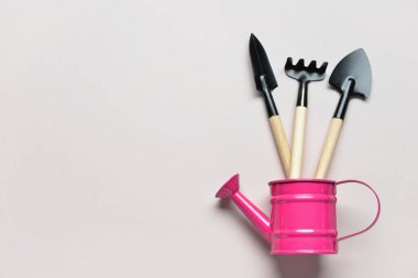 Beyaz arka planda bahçe tırmığı ve kürekleriyle teneke sulama.