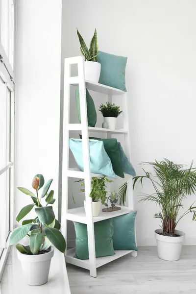 Shelving Unit Green Pillows Houseplants Light Room — Stock Photo, Image