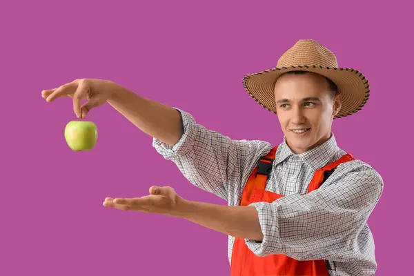 Молодий Фермер Смачним Яблуком Фіолетовому Фоні — стокове фото