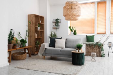 Oturma odasının içi kanepe ve çiçeklerle dolu.