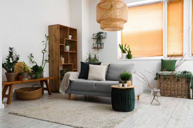 Oturma odasının içi kanepe ve çiçeklerle dolu.