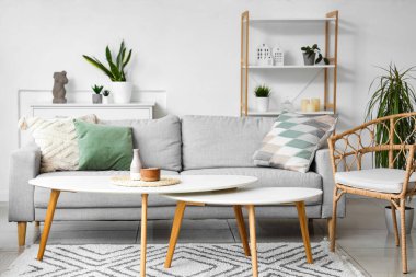 Aydınlık oturma odasının içinde bitkiler, kanepe ve kahve masaları var.