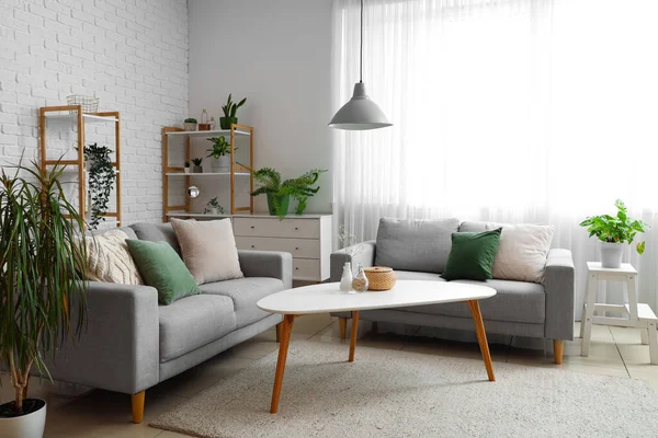 Interior of light living room with cozy grey sofas, coffee table and houseplants