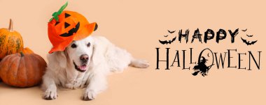 Tatlı Labrador köpekli Cadılar Bayramı afişi ve bej arka planda balkabakları