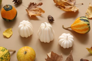 Mumlu kompozisyon ve renk arkaplanındaki güzel sonbahar dekoru