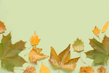 Yeşil arka planda güzel sonbahar yaprakları