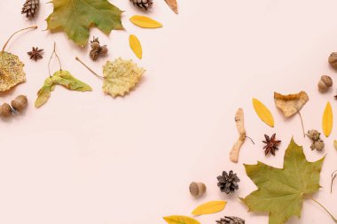 Yaprakları, kozalakları ve pembe arka planda meşe palamudu olan güzel sonbahar kompozisyonu