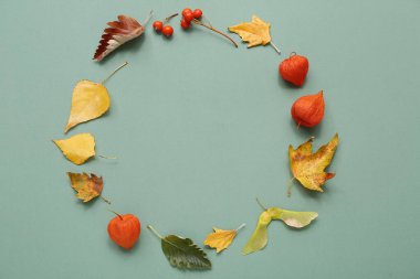 Turkuaz arka planda sonbahar yaprakları, filsalis ve viburnum üzümlerinden yapılmış çerçeve