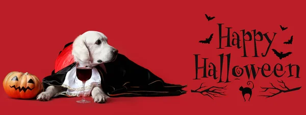 Banner Halloween Con Lindo Perro Labrador Calabaza Sobre Fondo Rojo — Foto de Stock