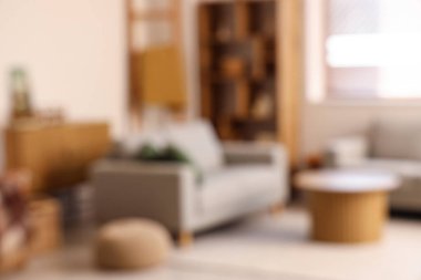 Kanepesi ve raf ünitesi olan bulanık oturma odası manzarası